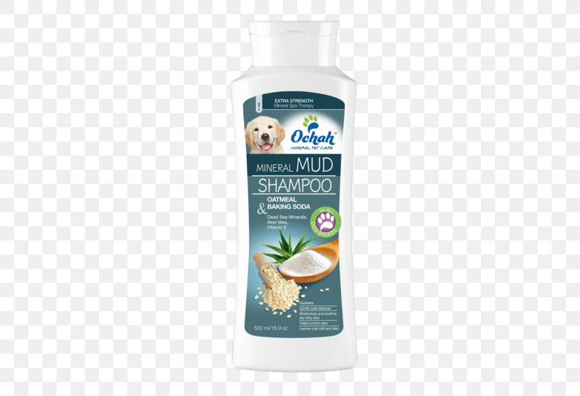 Lotion Argan Oil Coconut Water Moroccan Cuisine Shampoo, PNG, 560x560px, Lotion, Argan Oil, Coconut Oil, Coconut Water, Hair Download Free