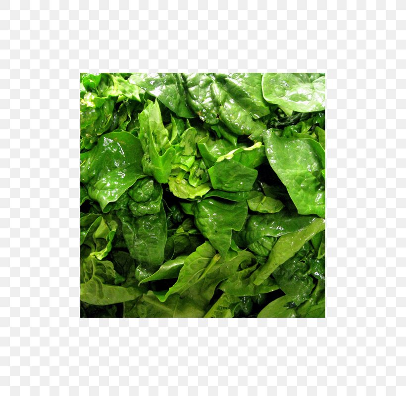 Malabar Spinach Romaine Lettuce Palak Paneer Chard, PNG, 800x800px, Spinach, Chard, Cheese, Folate, Food Download Free