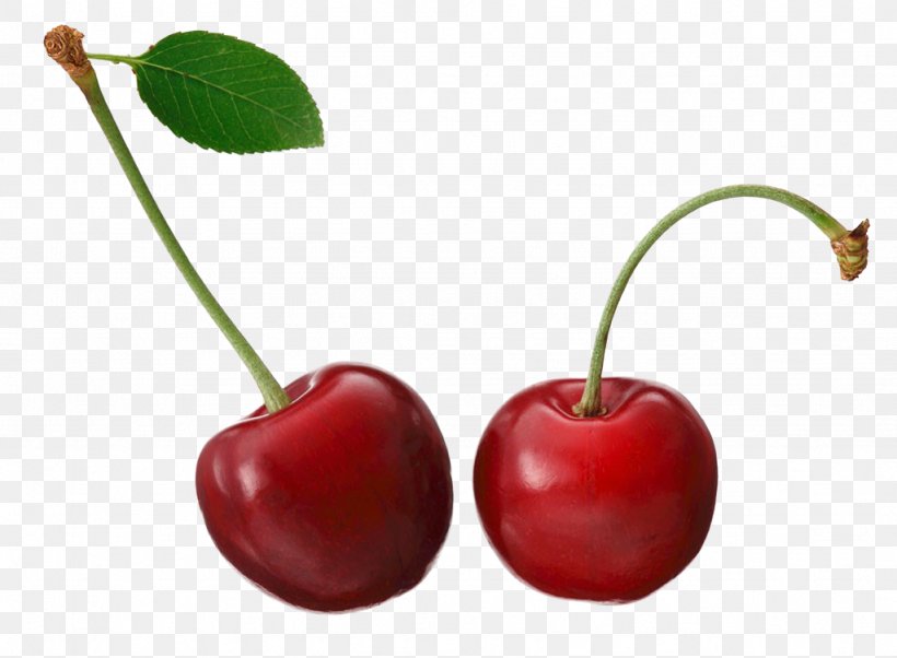 Barbados Cherry Fruit, PNG, 1024x753px, Cherry, Acerola, Apple, Barbados Cherry, Food Download Free