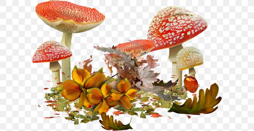 Mushroom Autumn Clip Art, PNG, 615x425px, Mushroom, Animation, Autumn, Drawing, Edible Mushroom Download Free