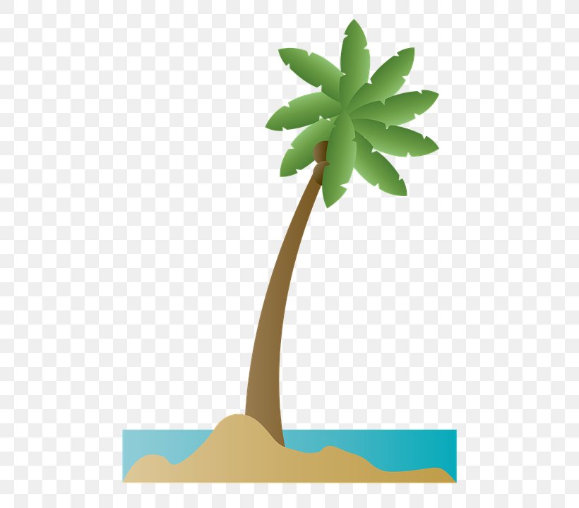 Palm Trees Clip Art Image, PNG, 528x720px, Palm Trees, Arecales, Beach, Coconut, Drawing Download Free