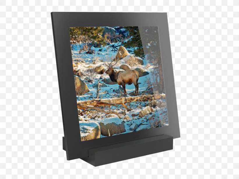 Picture Frames, PNG, 1280x960px, Picture Frames, Picture Frame Download Free