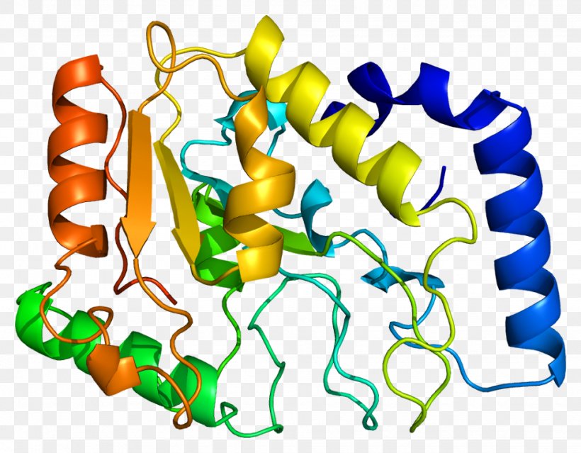 Uracil-DNA Glycosylase Human Genome, PNG, 975x760px, Watercolor, Cartoon, Flower, Frame, Heart Download Free