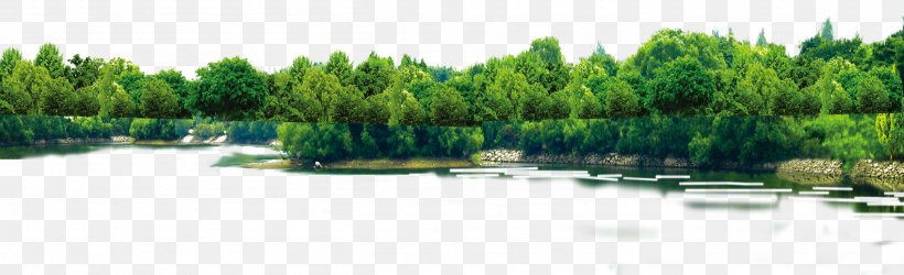 Download Tree Computer File, PNG, 2516x768px, Tree, Arecaceae, Arecales, Forest, Google Images Download Free