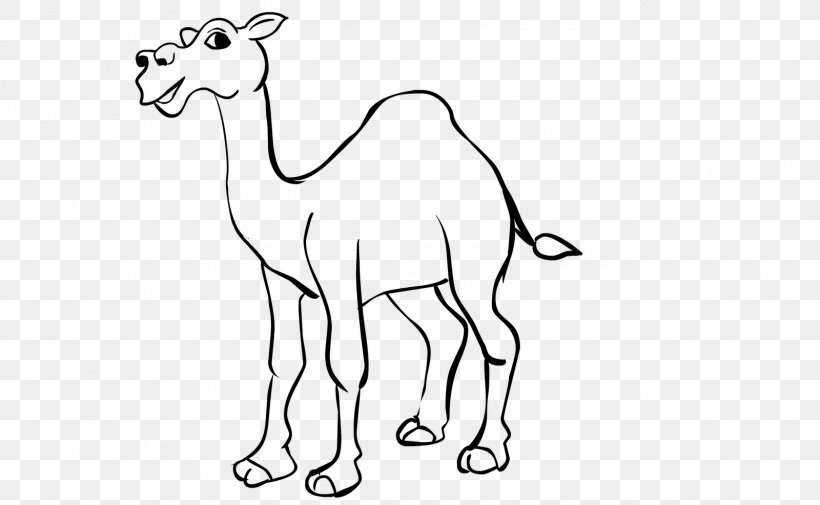 Dromedary Drawing Wildlife Line Art Clip Art, PNG, 1600x987px, Dromedary, Animal, Animal Figure, Arabian Camel, Artwork Download Free