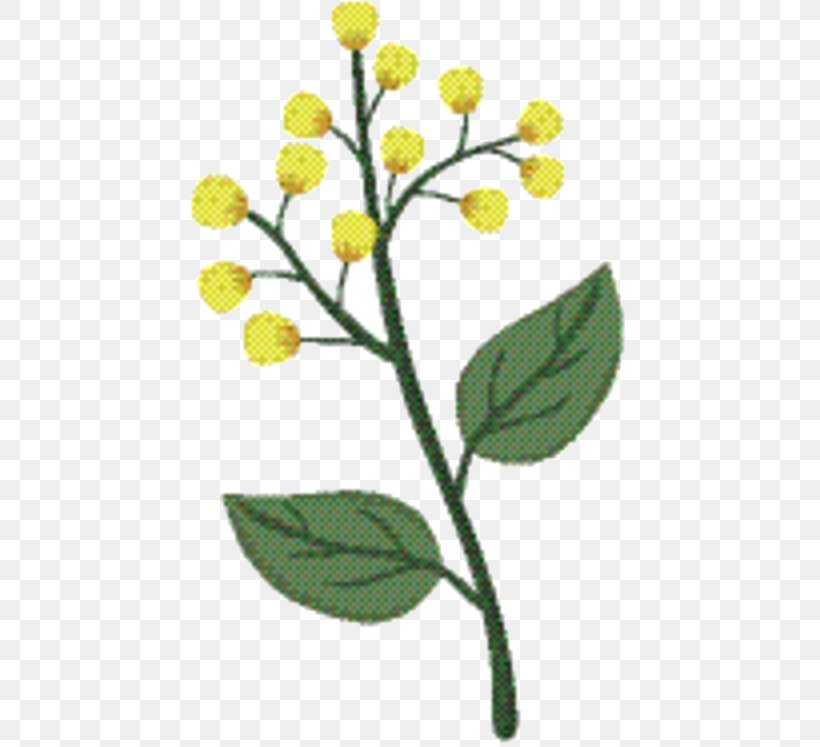 mustard flower png