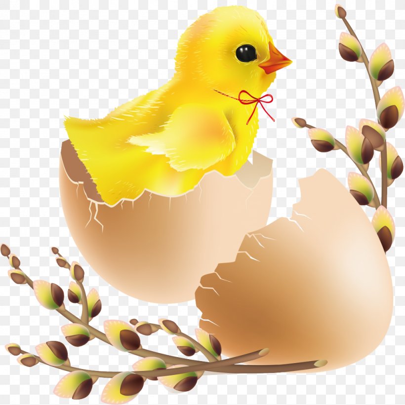 Hatching Easter Clip Art, PNG, 1022x1024px, Hatching, Beak, Bird, Easter, Easter Egg Download Free