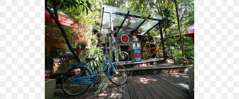 Road Bicycle Hybrid Bicycle Mountain Bike Transport, PNG, 1200x500px, Road Bicycle, Bicycle, Bicycle Accessory, Hybrid Bicycle, Land Vehicle Download Free