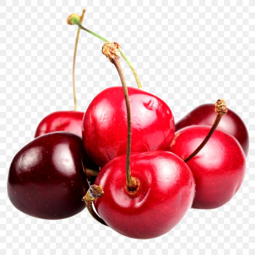 Cherry Food Berry Fruit Nutrition, PNG, 825x825px, Cherry, Accessory Fruit, Acerola Family, Apple, Auglis Download Free