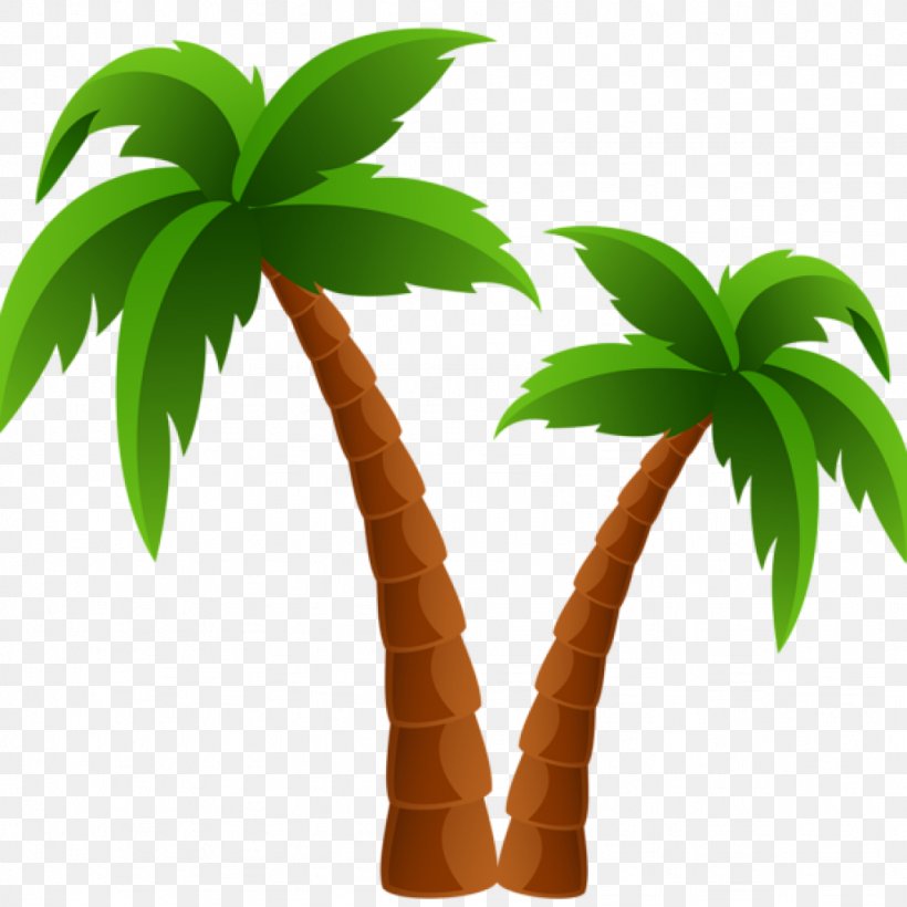Clip Art Palm Trees Image Transparency, PNG, 1024x1024px