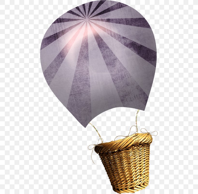 Hot Air Balloon Flight Ballonnet, PNG, 488x800px, Hot Air Balloon, Air, Ballonnet, Balloon, Basket Download Free