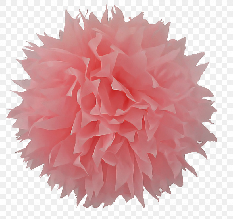 Pink Pom-pom Petal Plant Cheerleading, PNG, 1000x938px, Pink, Cheerleading, Flower, Petal, Pink Family Download Free