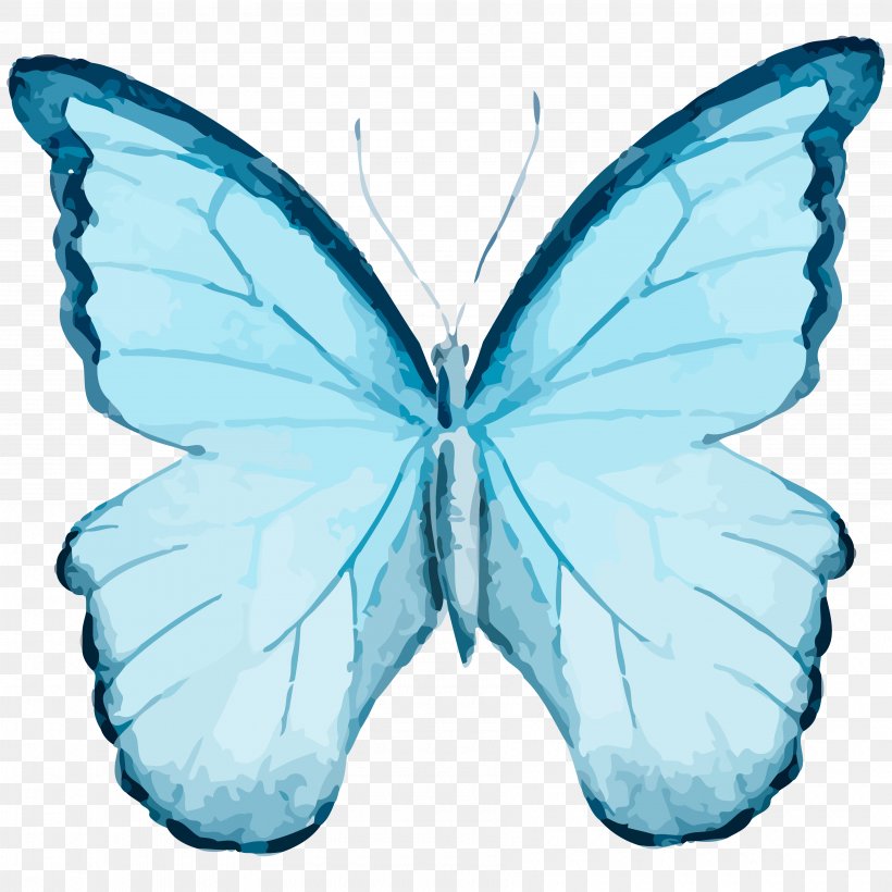 Butterfly Clip Art Vector Graphics Image Illustration, PNG, 3600x3600px, Butterfly, Azure, Blue, Drawing, Insect Download Free