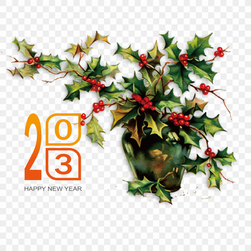 Christmas Graphics, PNG, 4168x4168px, Common Holly, American Holly, Aquifoliales, Christmas, Christmas Graphics Download Free