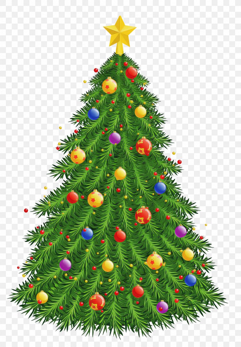 Christmas Tree, PNG, 1113x1600px, Christmas Tree, Christmas, Christmas Decoration, Christmas Ornament, Colorado Spruce Download Free