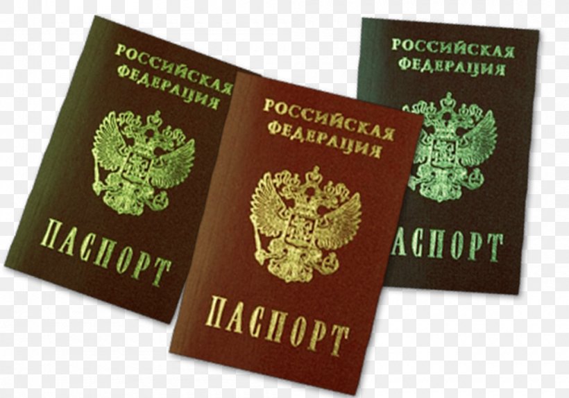 Ukraine Ukrainian Passport Travel Visa, PNG, 1000x700px, Ukraine, Brand, Identity Document, Papua New Guinean Passport, Passport Download Free