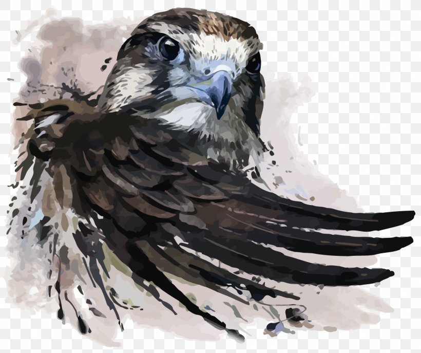 Watercolor Painting Falcon Illustration, PNG, 1500x1257px, Common Kestrel, Art, Beak, Bird, Bird Of Prey Download Free