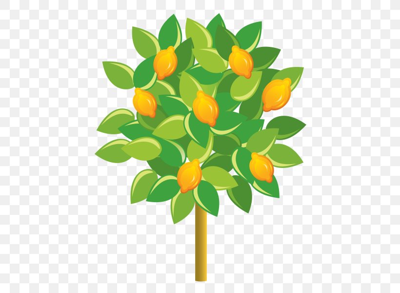 Clip Art Vector Graphics Openclipart Image, PNG, 600x600px, Drawing, Art, Branch, Cut Flowers, Flower Download Free