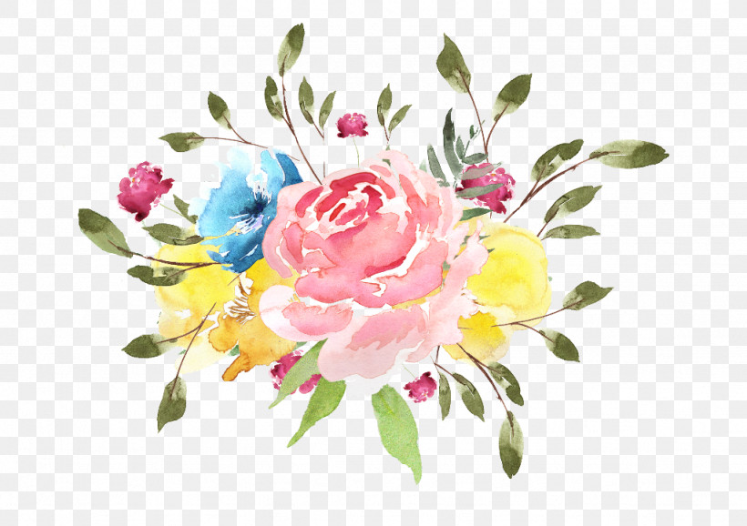 Garden Roses, PNG, 1024x723px, Garden Roses, Cabbage Rose, Cut Flowers, Floral Design, Flower Download Free