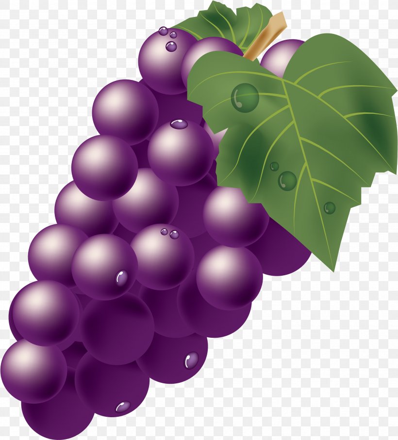 Muscat Grape Illustration Photography Vector Graphics, PNG, 3465x3840px, Muscat, Berry, Copyrightfree, Currant, Flower Download Free