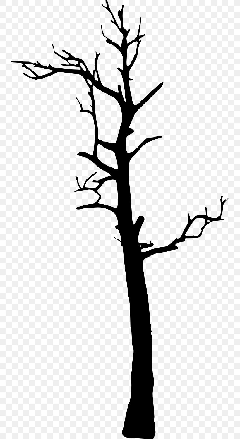 Tree Woody Plant Clip Art, PNG, 748x1500px, Tree, Black And White, Branch, Flower, Flowering Plant Download Free