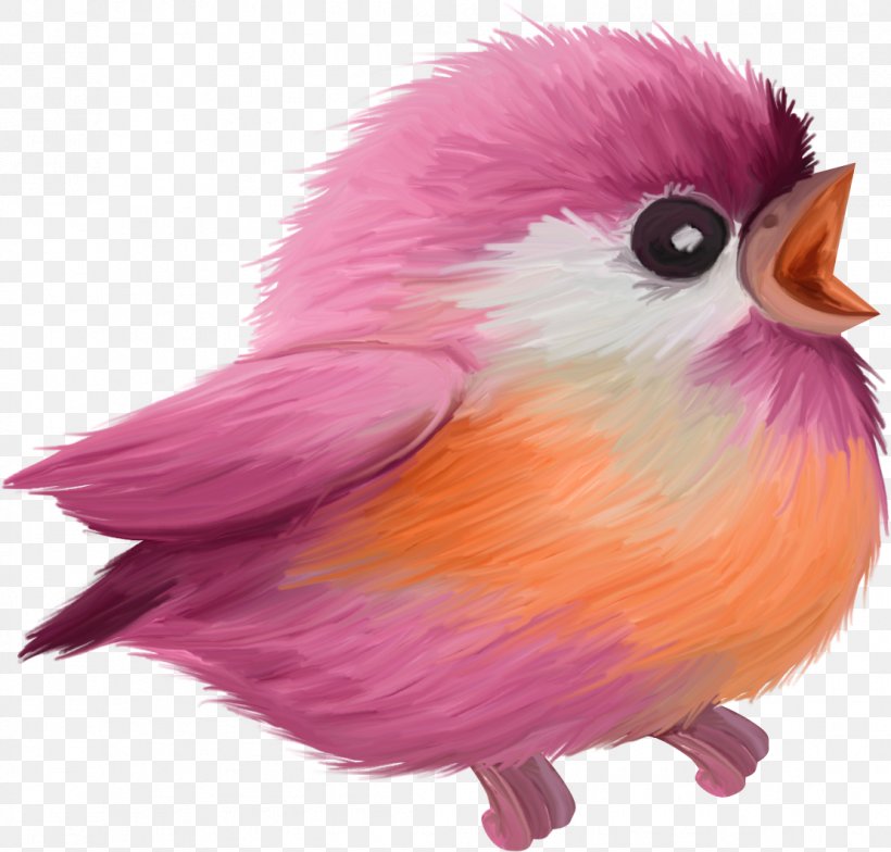 Animation Icon, PNG, 1109x1061px, Animation, Albom, Beak, Bird, Designer Download Free