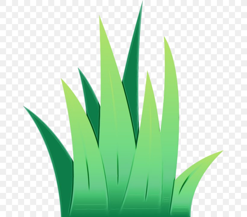 Green Leaf Watercolor, PNG, 667x720px, Watercolor, Aloe, Biophysical Environment, Child, Computer Download Free