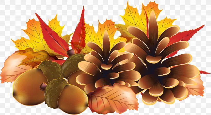 Harvest Pinecone, PNG, 5880x3208px, Autumn, Autumn Leaf Color, Cut Flowers, Floral Design, Floristry Download Free