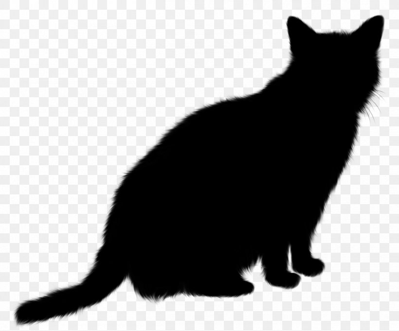 Manx Cat Kitten Black Cat Matagot Domestic Short-haired Cat, PNG, 1253x1042px, Manx Cat, Bicolor Cat, Black Cat, Blackandwhite, Bombay Download Free