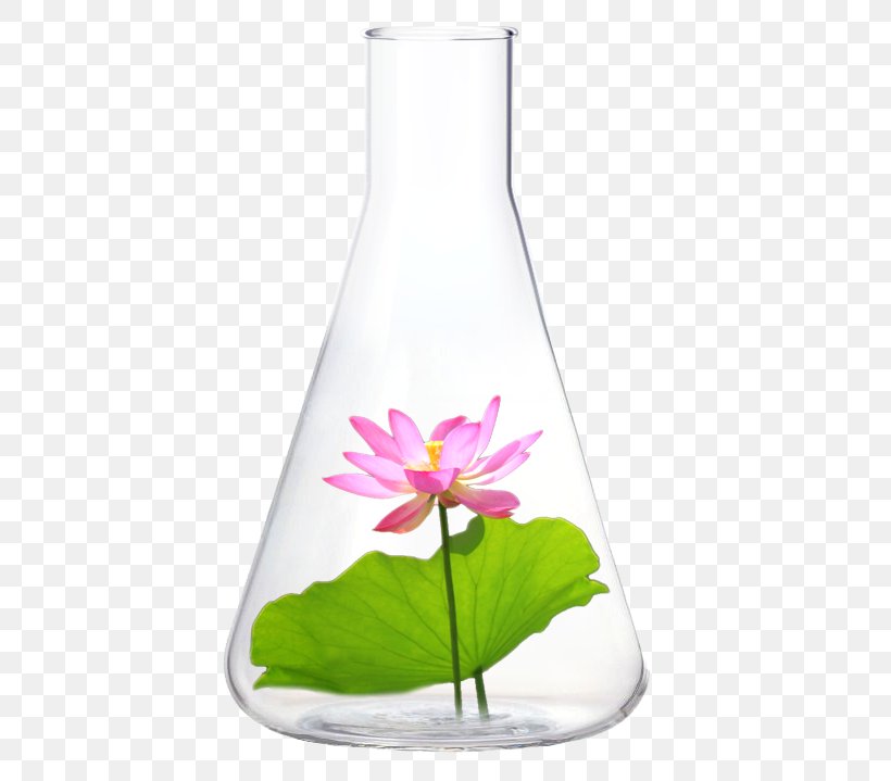 Glass Bottle Vase Liquid, PNG, 483x719px, Glass Bottle, Bottle, Flower, Flowerpot, Glass Download Free