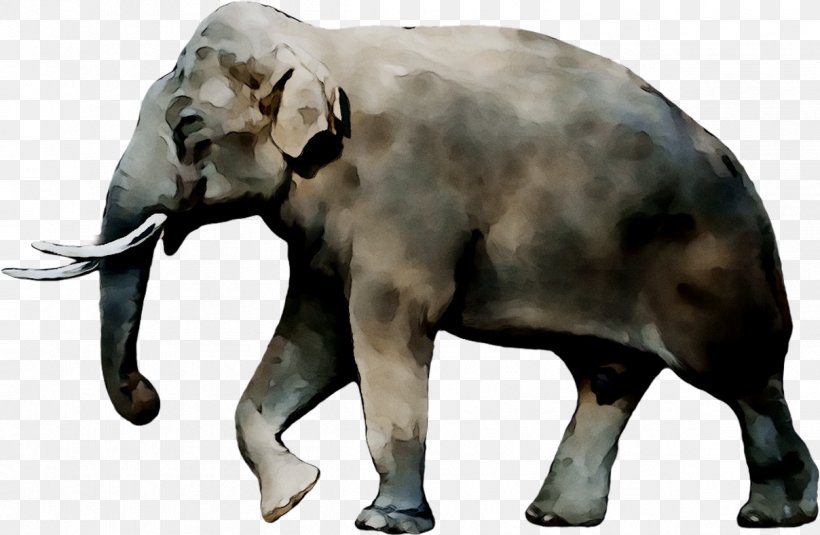 Notiomastodon Alphabet Song Indian Elephant Stegomastodon, PNG, 1208x789px, Alphabet Song, African Elephant, Alphabet, Animal Figure, Cuvieronius Download Free