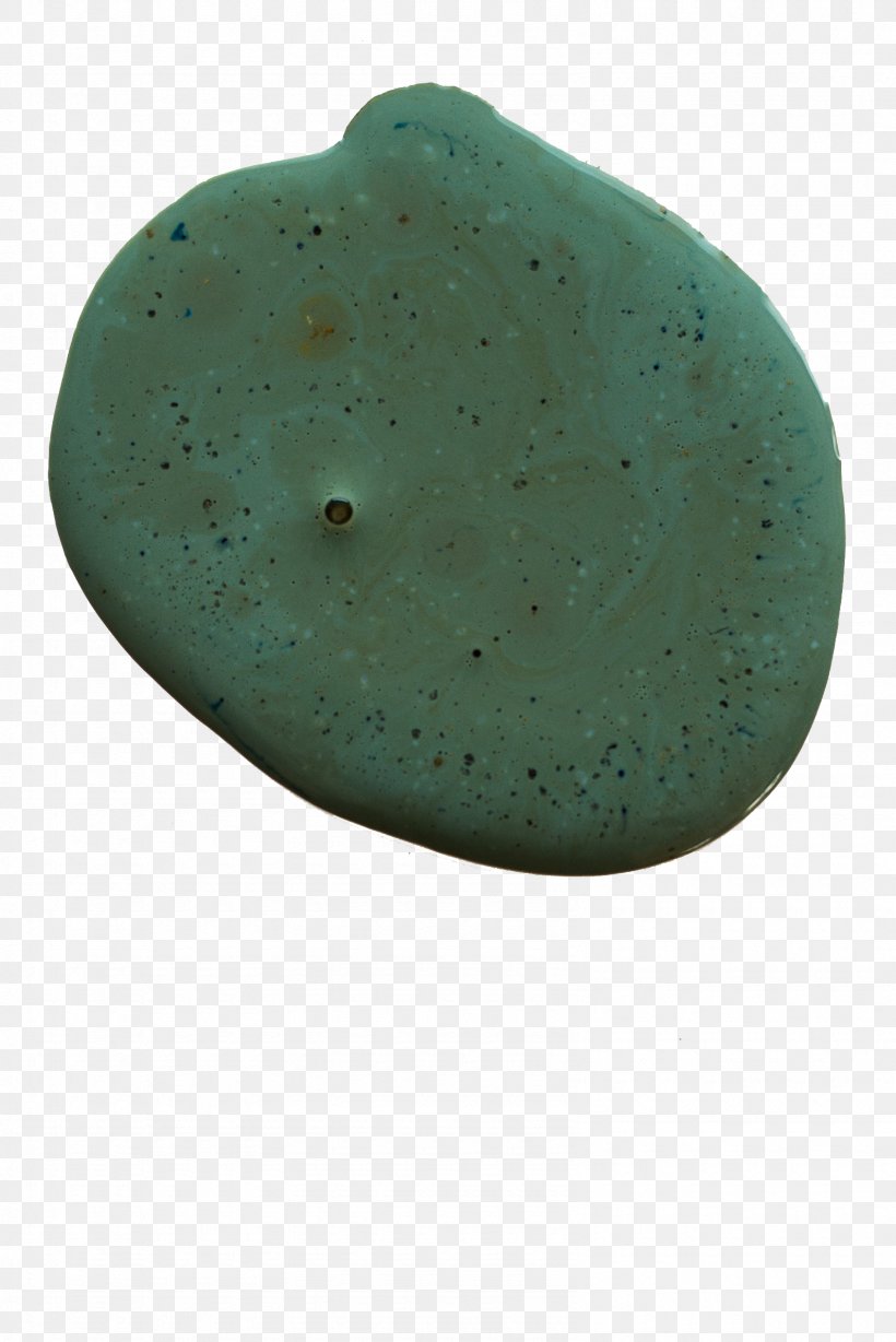 Organism Turquoise, PNG, 1590x2382px, Organism, Turquoise Download Free