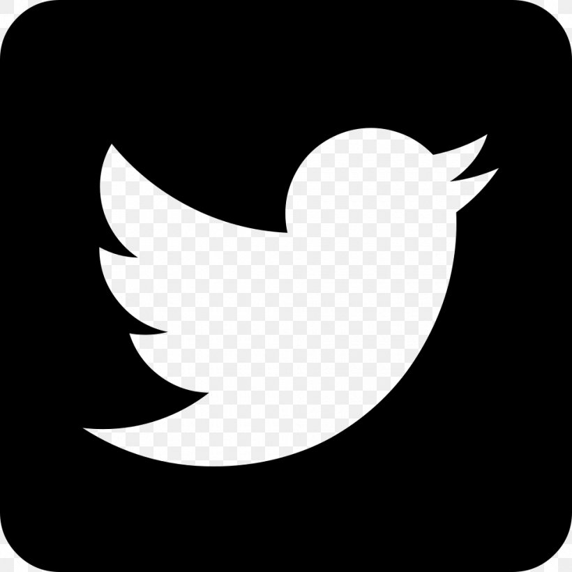 Social Media Logo, PNG, 980x980px, Social Media, Beak, Bird, Black, Black And White Download Free