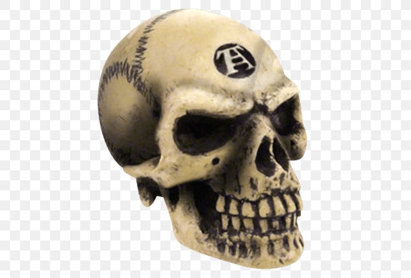 Skull Human Skeleton Alchemy Gothic, PNG, 555x555px, Skull, Alchemy, Alchemy Gothic, Anatomy, Bead Download Free