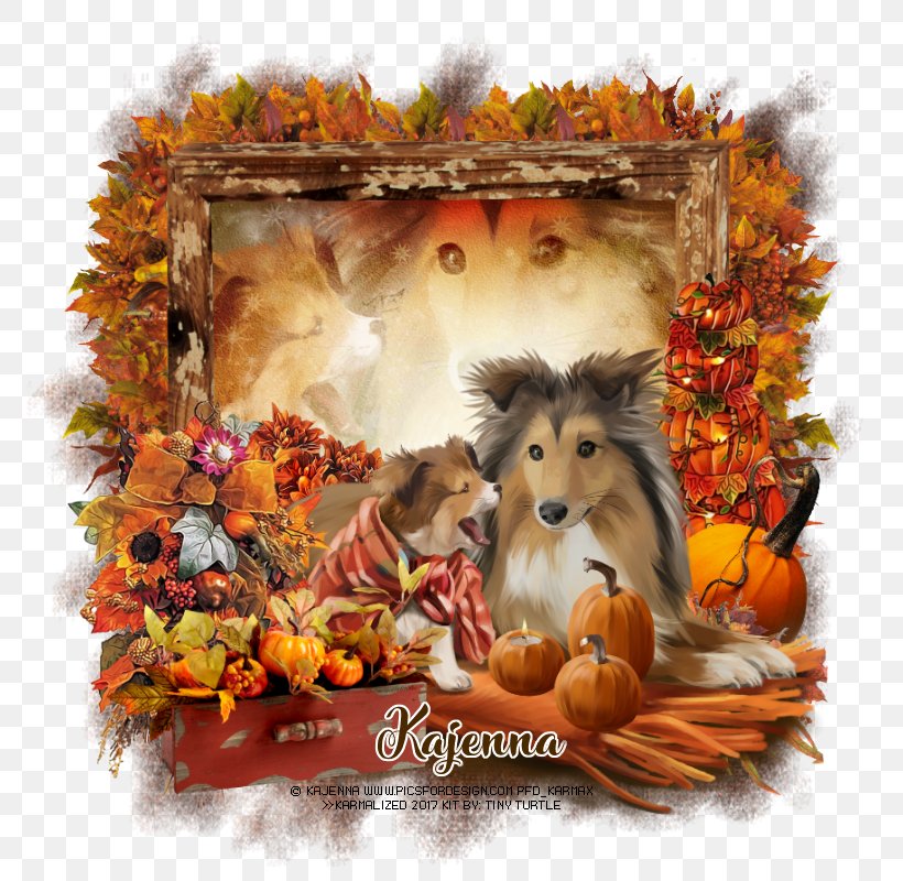 Dog Breed Puppy Cayenne Photography, PNG, 800x800px, Dog Breed, Animal, Art, Autumn, Breed Download Free