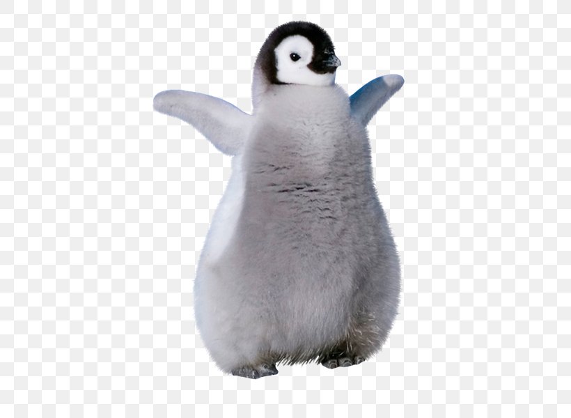 King Penguin Stuffed Animals & Cuddly Toys Beak, PNG, 514x600px, King Penguin, Beak, Bird, Flightless Bird, Penguin Download Free