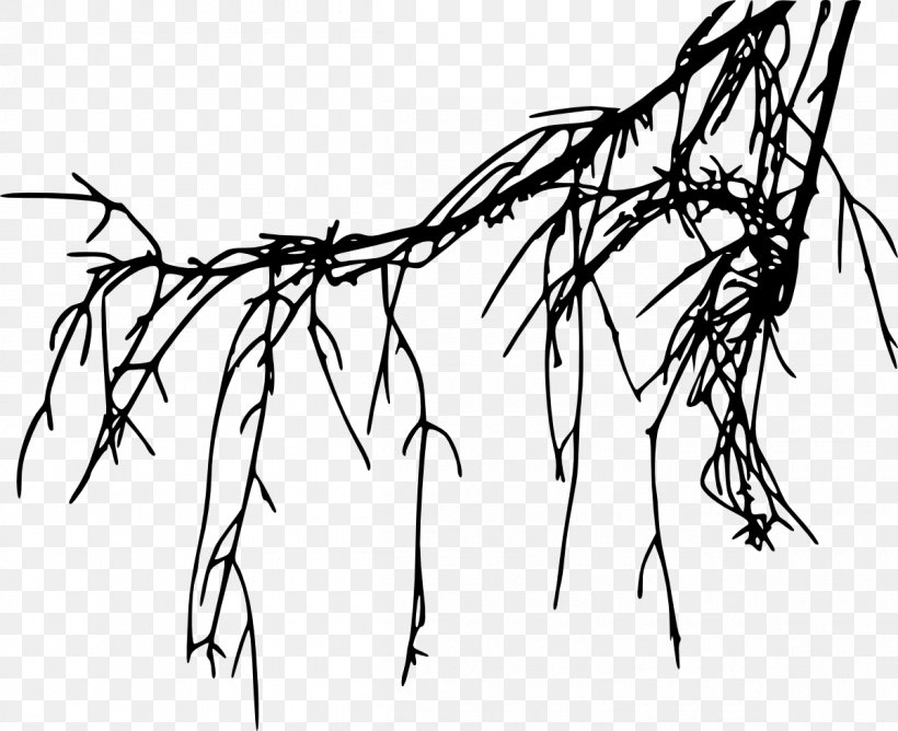 /m/02csf Line Art Plant Stem Drawing Leaf, PNG, 1200x979px, M02csf, Art, Blackandwhite, Branch, Branching Download Free