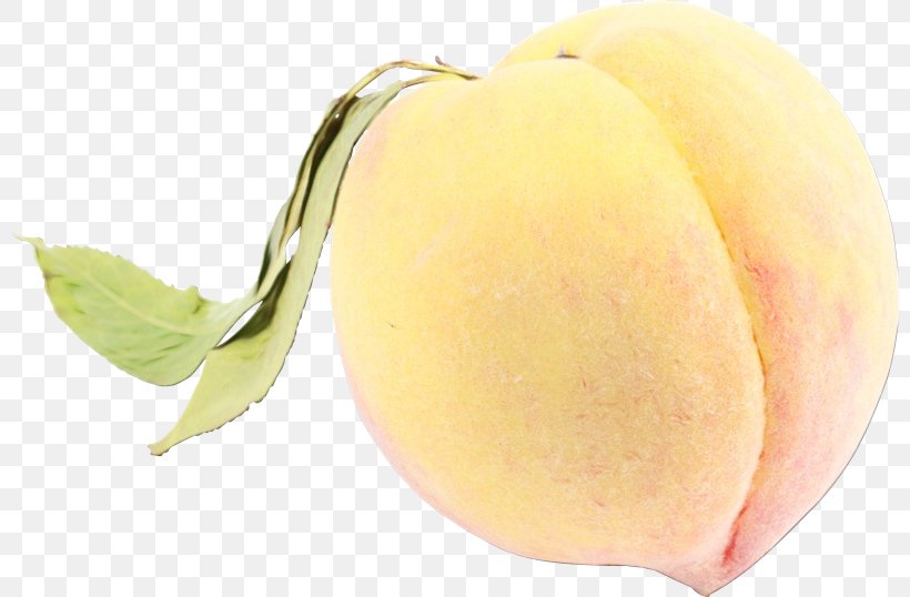 Peach Flower, PNG, 800x538px, Peach, Flower, Food, Fruit, Juicy Fruit Download Free