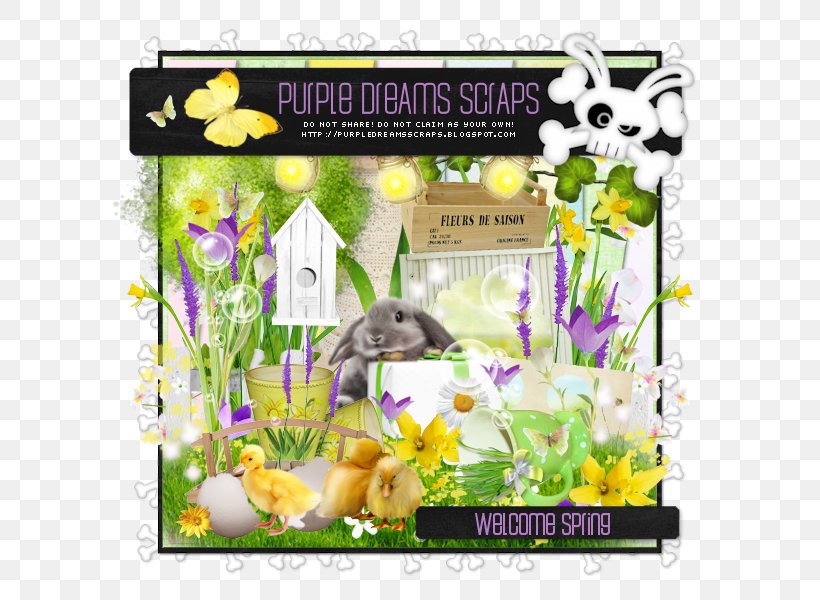 Violaceae Flora Fauna Easter Purple, PNG, 600x600px, Violaceae, Easter, Family M Invest Doo, Fauna, Flora Download Free