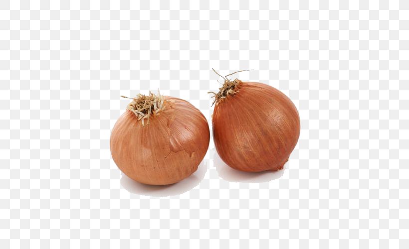 Yellow Onion Shallot Calabaza Vegetable, PNG, 500x500px, Yellow Onion, Calabaza, Cucurbita, Ingredient, Onion Download Free