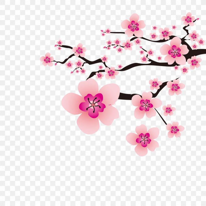 Cherry Blossom Plum Blossom Flower, PNG, 1276x1276px, Blossom, Branch, Cherry, Cherry Blossom, Drawing Download Free