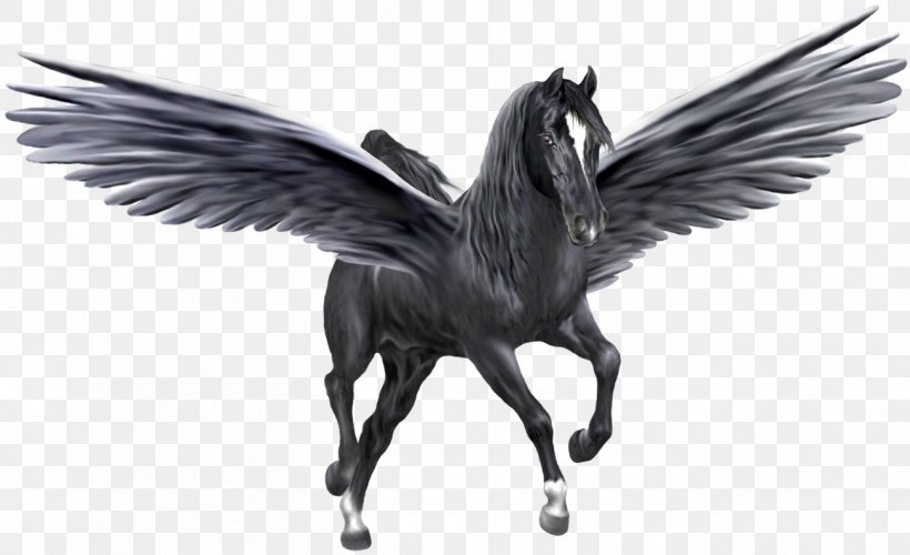 Pegasus Unicorn Horse Black, PNG, 1300x794px, Flight, Beak, Bird, Black And White, Black Pegasus Download Free