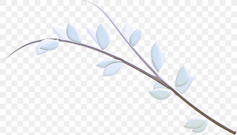 Feather, PNG, 1600x916px, Blue, Branch, Feather, Flower, Leaf Download Free