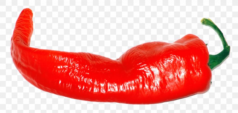 Tabasco Pepper Cayenne Pepper Chili Pepper Malagueta Pepper Paprika, PNG, 1000x478px, Tabasco Pepper, Bell Peppers And Chili Peppers, Capsicum Annuum, Cayenne Pepper, Chili Pepper Download Free