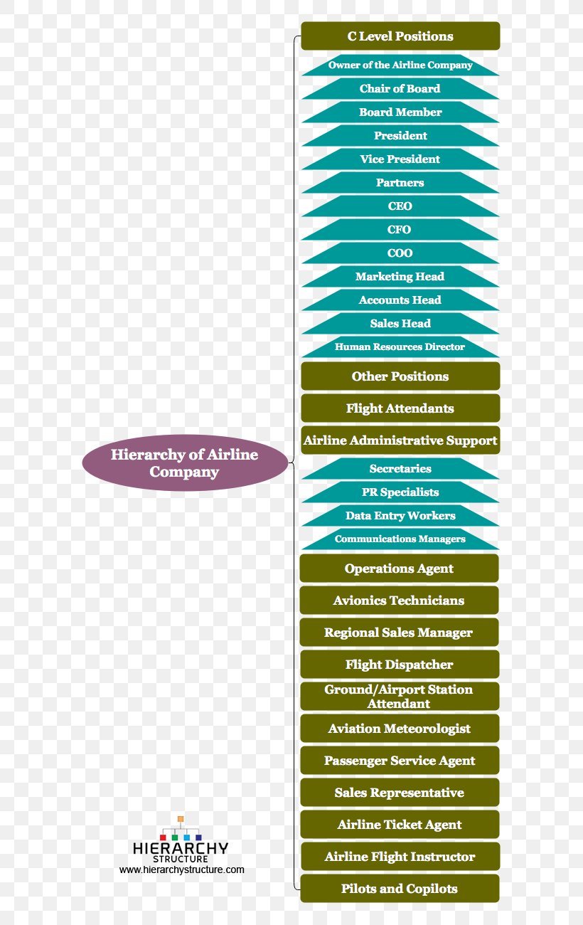 Thai Airways Organization Chart