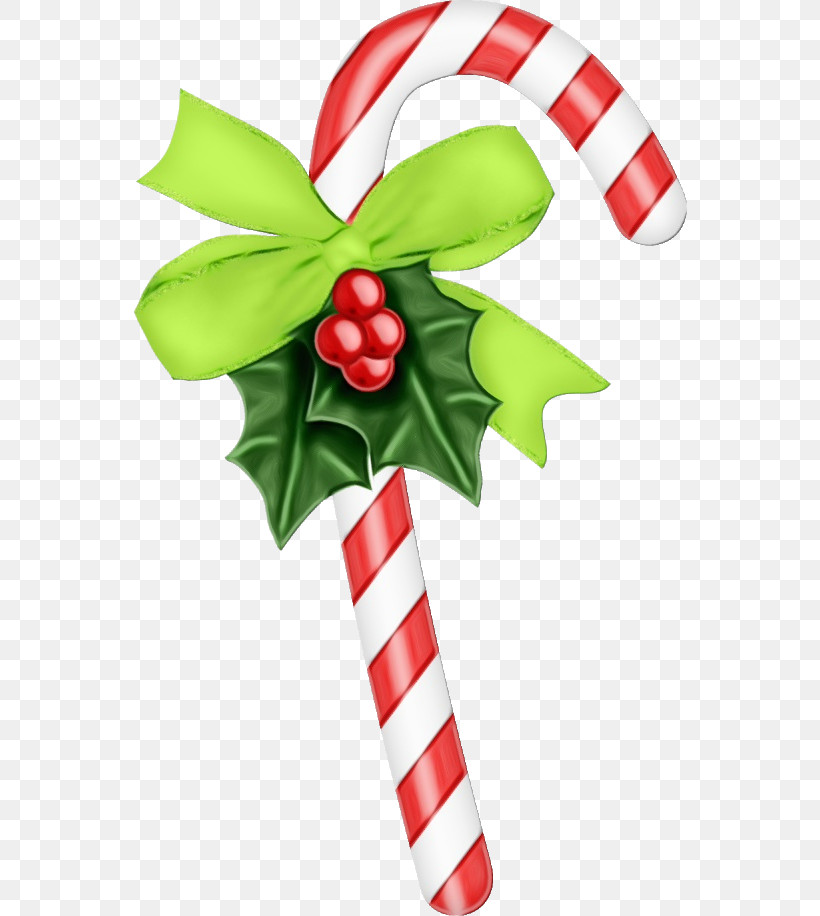 Candy Cane, PNG, 554x916px, Watercolor, Aquifoliales, Candy Cane, Christmas Day, Christmas Ornament Download Free