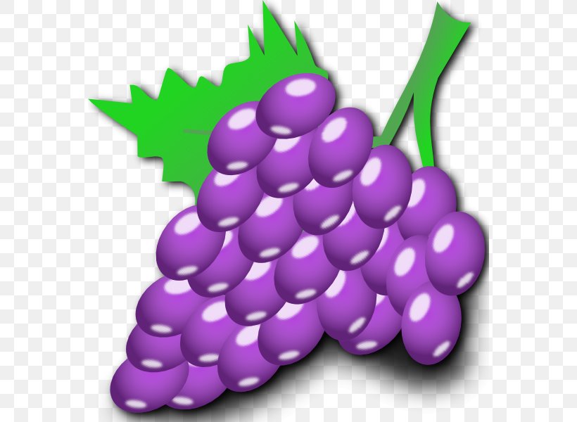 Common Grape Vine Cartoon Clip Art, PNG, 570x600px, Common Grape Vine, Animation, Cartoon, Drawing, Flowering Plant Download Free