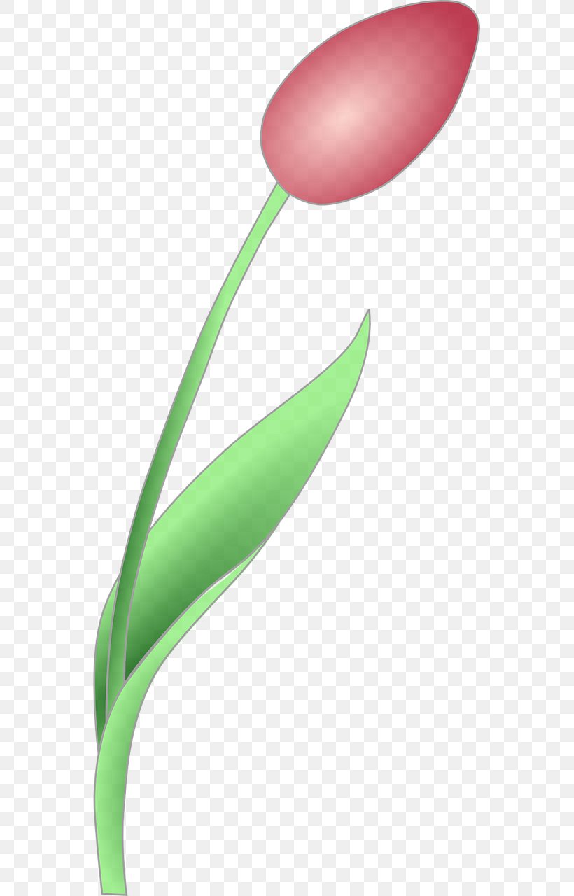 Desktop Wallpaper Clip Art, PNG, 640x1280px, Tulip, Bud, Flower, Flowering Plant, Inkscape Download Free