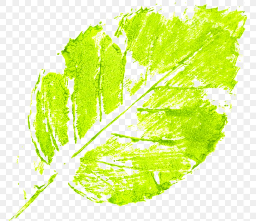 Leaf Abstract Art Modern Art Green, PNG, 768x707px, Leaf, Abstract Art, Art, Blue, Flower Download Free