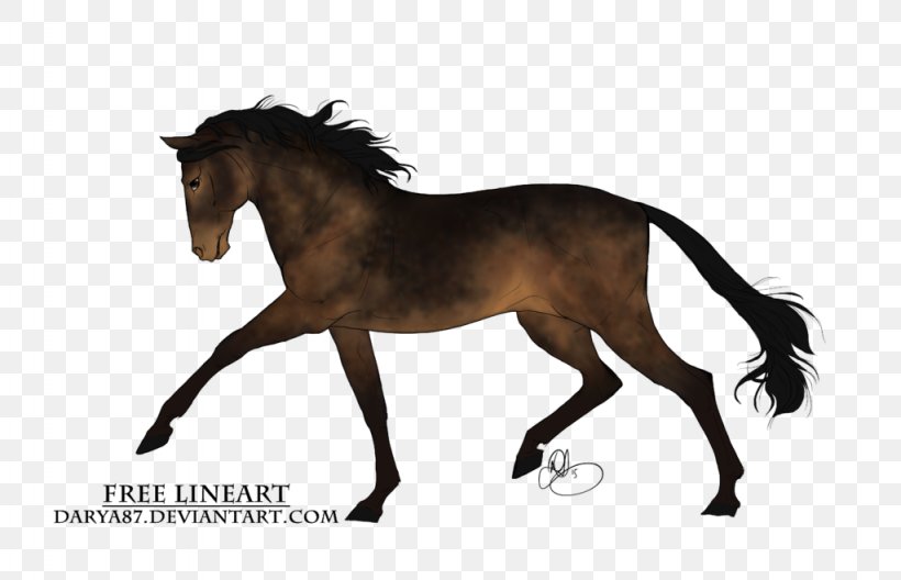 Mane Mustang Stallion Foal Mare, PNG, 1024x660px, Mane, Bridle, Colt, Foal, Halter Download Free